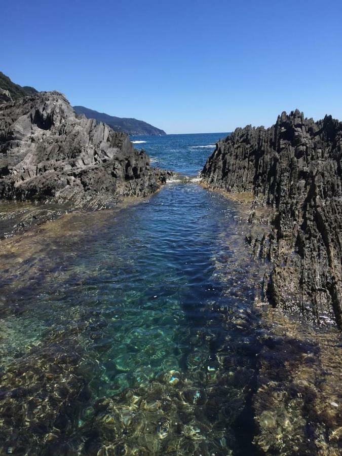 Tavernetta 109 Terrazza Tra Le 5 Terre E Portofino Deiva Marina Exterior foto