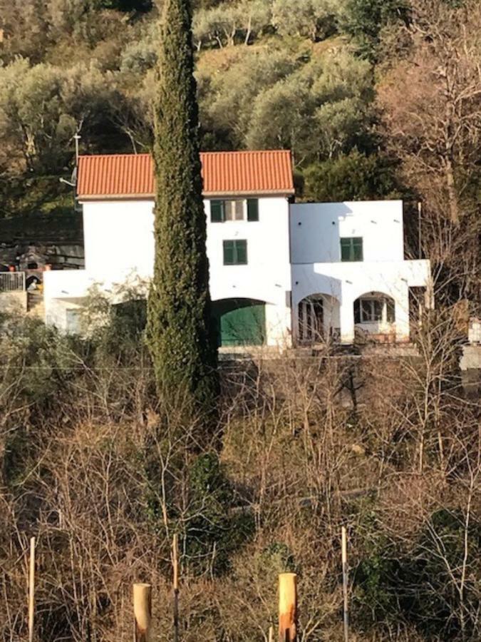 Tavernetta 109 Terrazza Tra Le 5 Terre E Portofino Deiva Marina Exterior foto